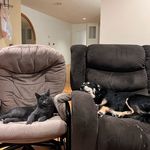 Jared Bencharski - @jaredbencharski - Instagram