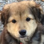 Jared Benge - @jaredbenge61 - Instagram