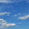 Jared Benzi - @jaredbenzi747 - TikTok
