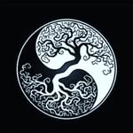 Jared Bettis - @inergrunner - Instagram