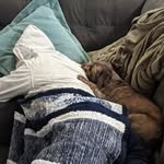 Jared bethers - @foxarrow01 - Instagram