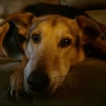 jared - @jared_bickford_433 - Instagram