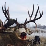 Jared Blais - @jared_bblais - Instagram