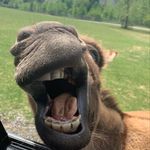 Jared Blatt - @jared_m_blatt - Instagram