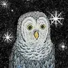 Jared Bliss - @jblissart - TikTok