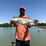 Jared - @jaredboling - Instagram