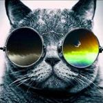 Jaredbollinger - @jaredbowlingball - Instagram