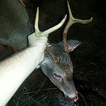 jared boyd - @jared_boyd - Instagram
