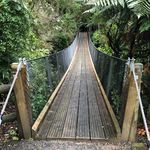 Jared Braggins - @bragginsjared - Instagram