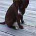 Jared Brewer - Facebook