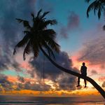 Jared Jace Brewer - @jared.brewer.969 - Instagram
