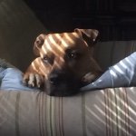 @jared_bridges - Instagram