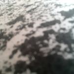 Jared Briggs - @jaredbriggs54 - Instagram