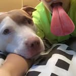 Jared Buffington - @buffingtonjared69 - Instagram