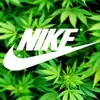 Jared Burris - @jared.burris - TikTok