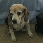 Jared Buttry - @jared_buttry - Instagram