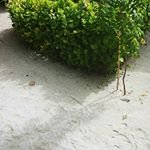 Jared Callahan - @jared_callahansi62u_l27j - Instagram