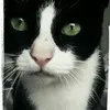 Jared Cantu - @jared.cantu - TikTok