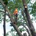 Jared Carden - Facebook