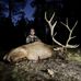 Jared Carney - Facebook