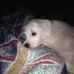 Jared Carney - Facebook