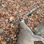 Jared Carney - @jared.carney - Instagram