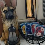 Jared Cecil - @1981hammerhead - Instagram