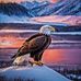 Jared Chance - Facebook