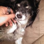 Jared Chastain - @chastain.jared - Instagram