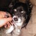 Jared Chastain - Facebook