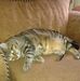 Jarred Chiasson - Facebook