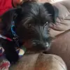 Jared Chisholm - @2181970305 - TikTok