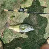 jared.chisholm - @jaredchisholm - TikTok