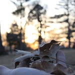 Jared Clanton - @clantons.photography - Instagram