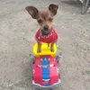_JaredClemente_ - @_jaredclemente_ - TikTok