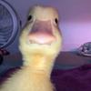 Jared Clemons - @jclemons07 - TikTok