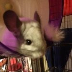 Jared Clough - @me24489 - Instagram