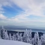 Jared Cochrane - @jared.cochrane - Instagram