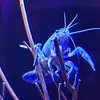 jaredcochrane776 - @jaredcochrane776 - TikTok