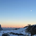 Jared Cody - @jaredcody15 - Instagram