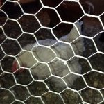 Jared Connors - @jared_connors - Instagram