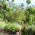 Jared Constantino - Facebook