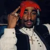 JARED COOK - @jared_cook06 - TikTok