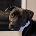 Jared Cooper - Facebook