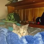 Jared Cooper - @jared.cooper.7967 - Instagram