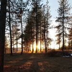 Jared Correia - @lakelife509 - Instagram