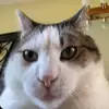 Jared.countsss - @jared.countsss - TikTok