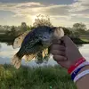 Big fish - @jaredcramer230 - TikTok