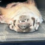 Jared Cramer - @jaredcramer10 - Instagram