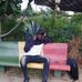 Jared Cruzo - Facebook